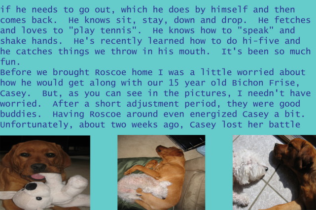 Roscoe's Testimonial
