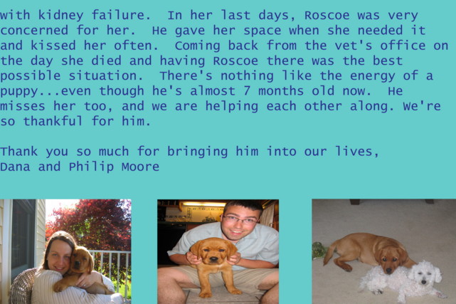 Roscoe's Testimonial